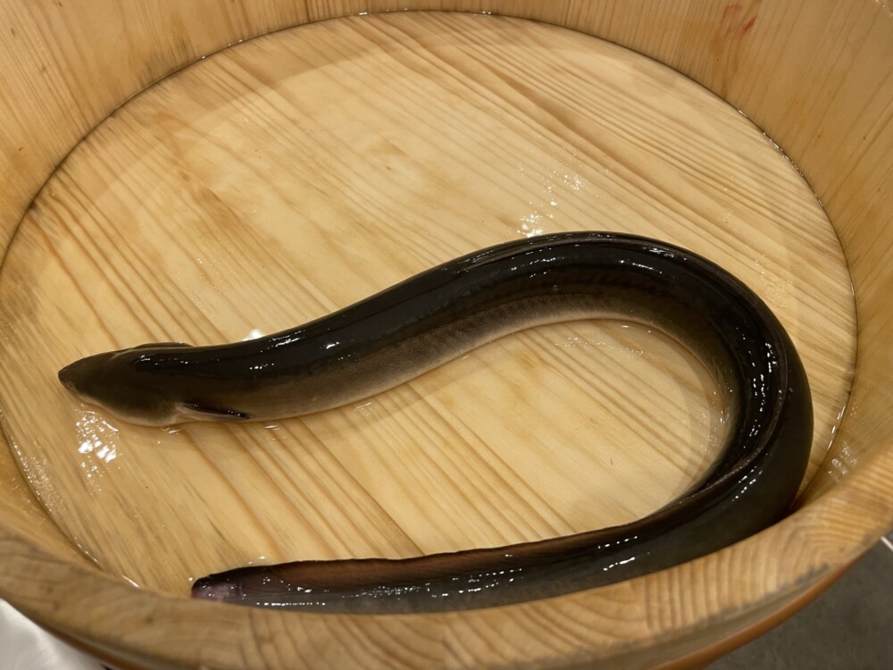 養殖場の仕事